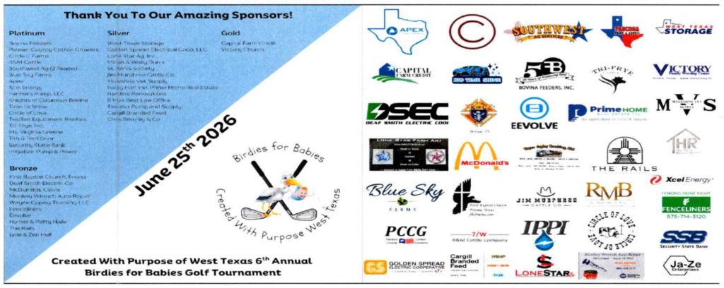 Sponsors for Birdies for Babies 2026