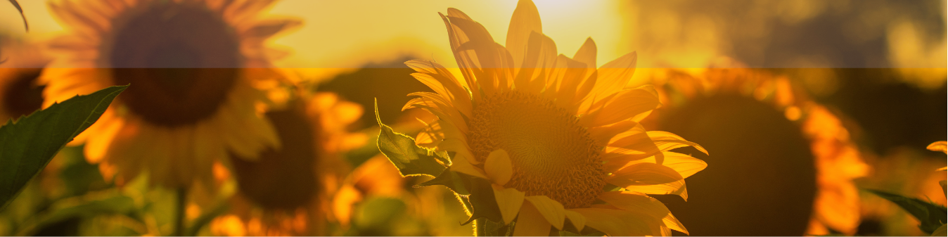 Summer 2026 News Post Banner in Blog